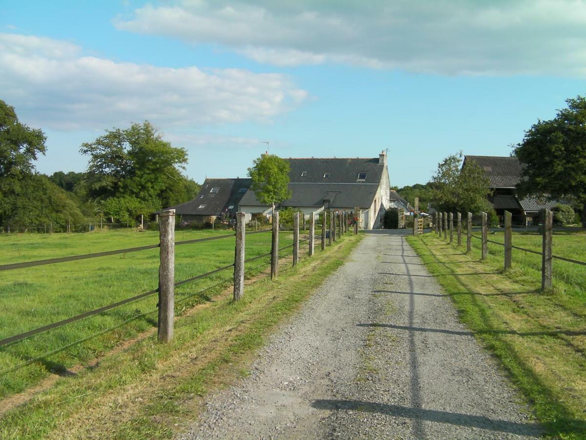 Kerdianou Ferienhaus Moëlan-sur-Mer